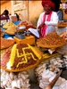 Spicewallah, Jaipur, Rajasthan